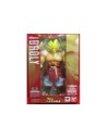 Bandai SH Figuarts Broly dragon ball Tamashii Web Limited