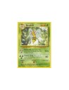 Beedrill (BS 17) POKEMON BASE SET ESPAÑOL