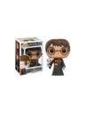 Funko pop harry potter harry potter con hedwig exclusivo 11915