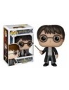 Funko pop harry potter harry potter