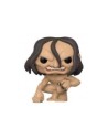 Funko pop anime attack on titan shingeki no kyojin titan ymir 57982