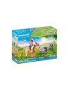 Playmobil coleccionable poni islandes