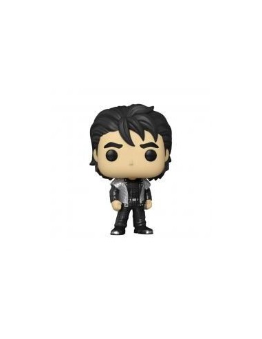 Funko pop rocks duran duran wild boys roger 64054