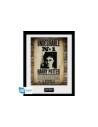 Poster enmarcado gb eye harry potter -  indeseable nº1