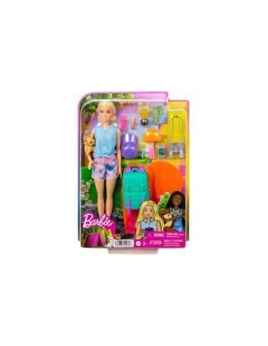 Muñeca barbie mattel dreamhouse adventures