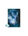 Maxi poster gb eye harry potter expecto patronum