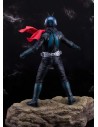 Shin Japan Hero Universe Masked Rider St