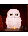 Lampara abysse harry potter hedwig