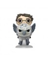 Funko pop harry potter deluxe harry potter con buckbeak 76008