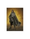 ARAGORN FIGURA 15,5 CM THE LORD OF THE RINGS: THE FELLOWSHIP OF THE RING SH FIGUARTS