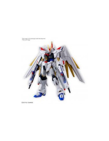 Replica bandai hobby hg 1 - 144 mighty strike freedom gundam re - run