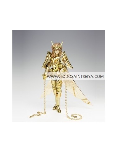 SHUN DE ANDROMEDA   saint myth cloth